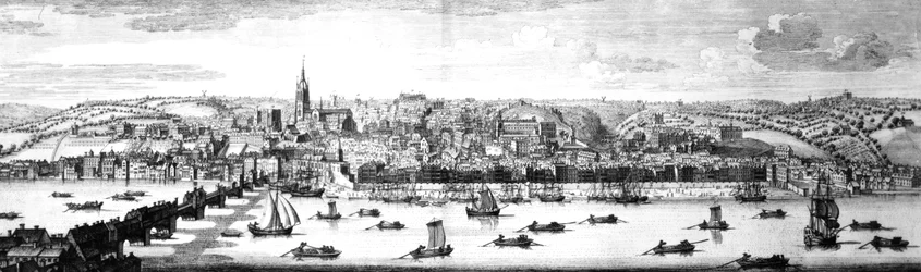 The South-East Prospect of Newcastle Upon Tyne